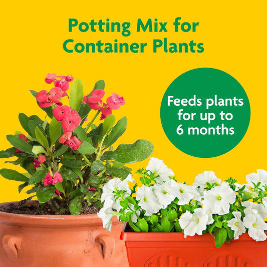 Miracle-Gro Potting Mix - For Container Plants, Flowers, Vegetables, Shrubs, Annuals, Perennials, Potting Soil Mix, Feeds up to 6 Months, 8 qt. (2-Pack)
