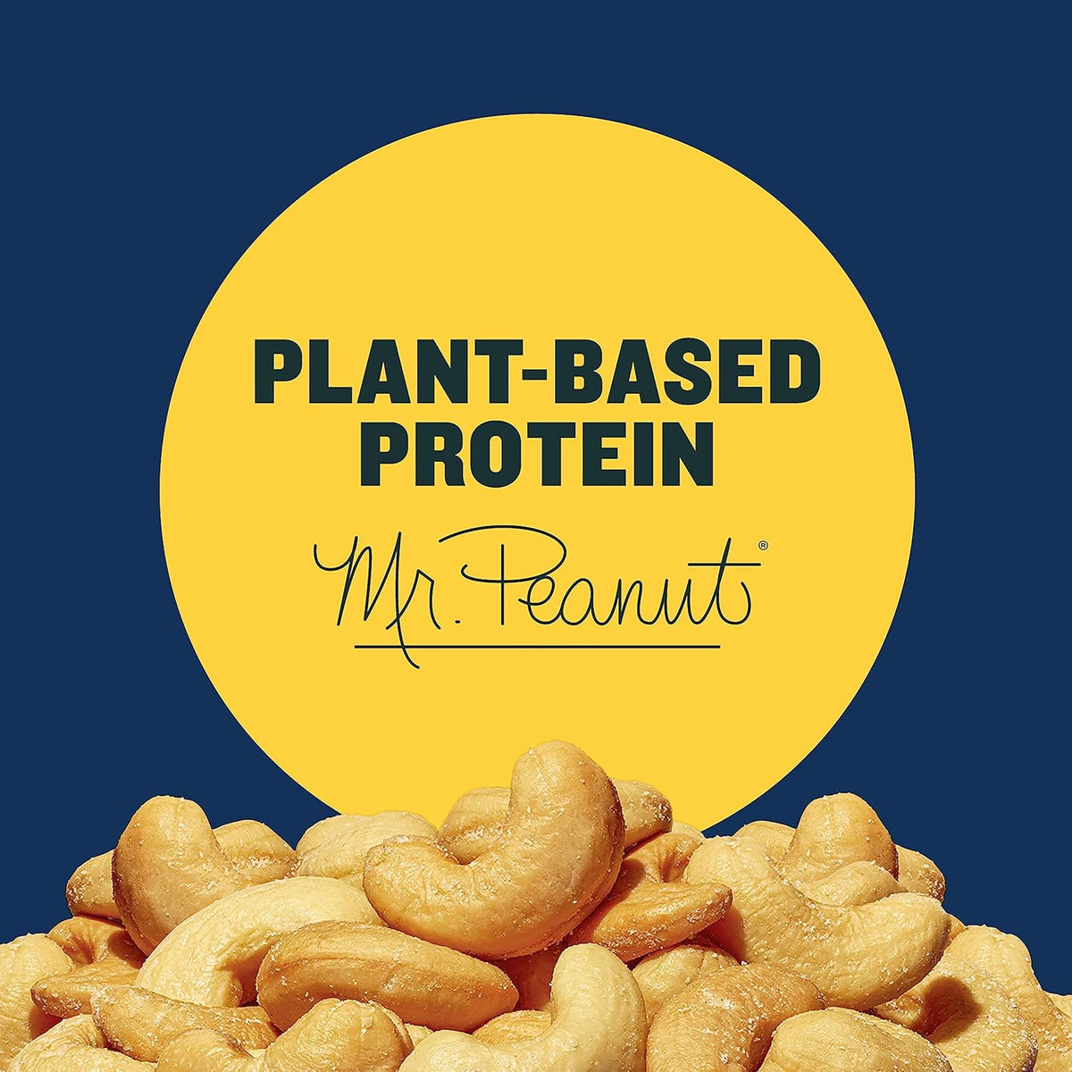 planters deluxe salted whole cashews 1 lb 2.25oz canister bulk nuts kosher