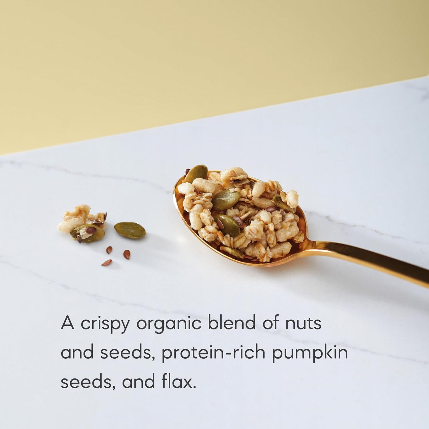 Nature's Path Organic Pumpkin Seed + Flax Granola, 24.7 oz (Pack of 1), Non-GMO