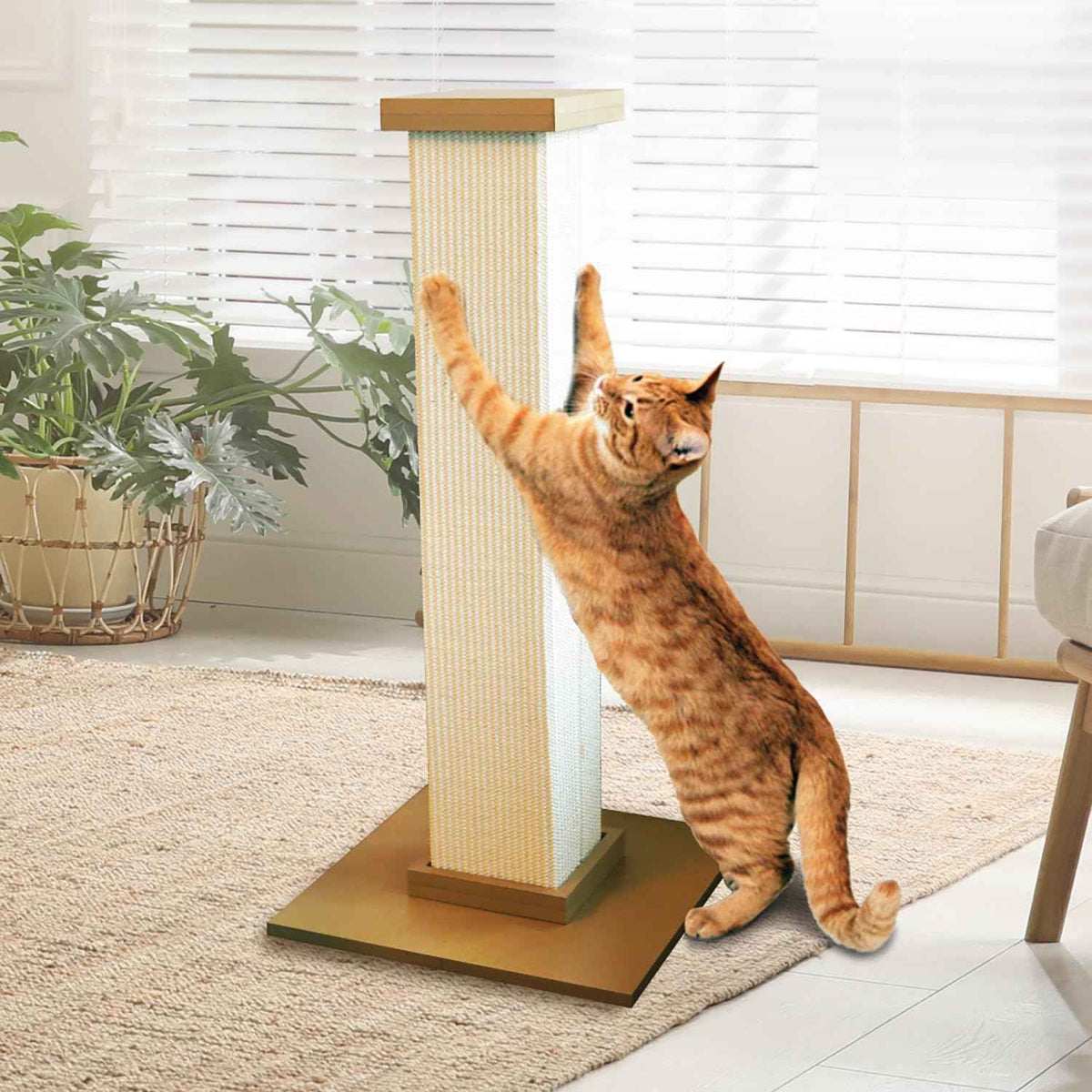 SmartCat Pioneer Pet Ultimate Scratching Post 32-inch Beige