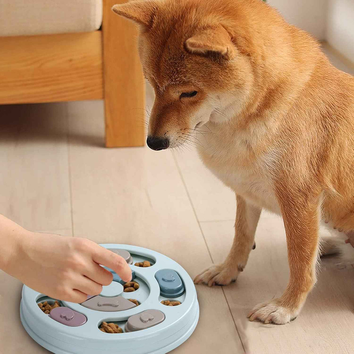 DR CATCH Interactive Dog Puzzle Toy for IQ Training, Mental Enrichment, and Fun Treat Dispensing (Blue)
