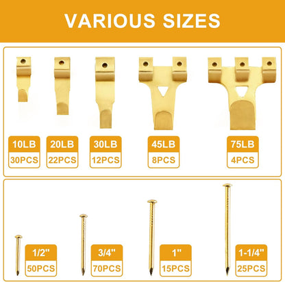 KURUI 303Pcs Picture Hanging Kit, Picture Hangers Assorted Kit with Heavy Duty Picture Hanging Hooks/Hardware Nails/Sawtooth/Wire/D Rings/Level, Metal Picture Wall Hooks for Frame Canvas Mounting