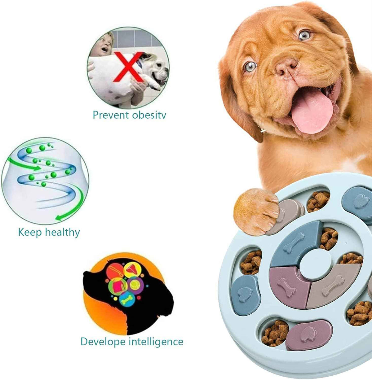 DR CATCH Interactive Dog Puzzle Toy for IQ Training, Mental Enrichment, and Fun Treat Dispensing (Blue)