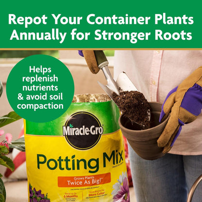 Miracle-Gro Potting Mix - For Container Plants, Flowers, Vegetables, Shrubs, Annuals, Perennials, Potting Soil Mix, Feeds up to 6 Months, 8 qt. (2-Pack)