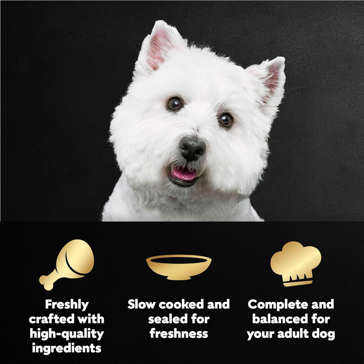cesar filets in gravy wet dog food rotisserie chicken flavor, filet mignon flavor, and wood-grilled chicken variety pack for adult dogs
