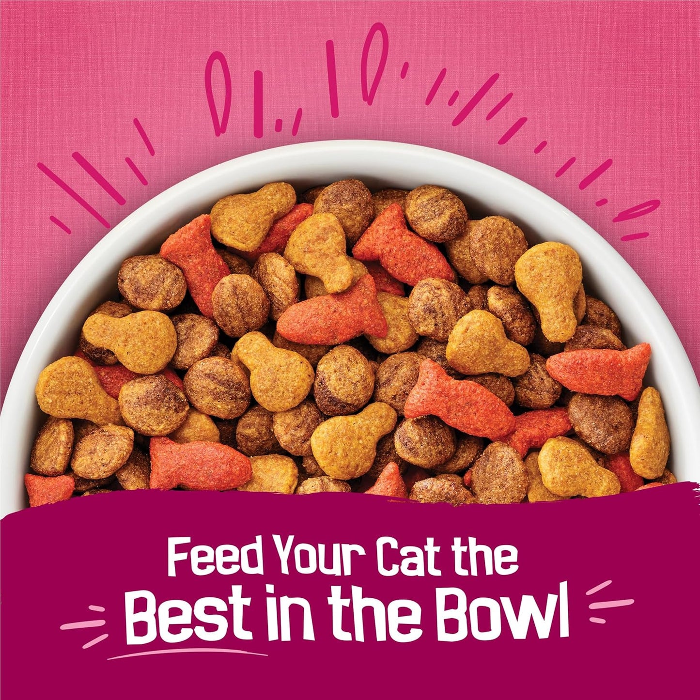 Purina Friskies Gravy Swirlers With Flavors of Chicken, Salmon and Gravy Dry Cat Food - 3.15 lb. Bag
